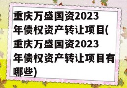 重庆万盛国资2023年债权资产转让项目(重庆万盛国资2023年债权资产转让项目有哪些)