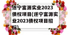 遂宁富源实业2023债权项目(遂宁富源实业2023债权项目招标)