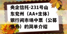 央企信托-231号山东兖州（AA+主体）银行间市场中票（公募债券）的简单介绍