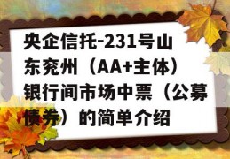 央企信托-231号山东兖州（AA+主体）银行间市场中票（公募债券）的简单介绍