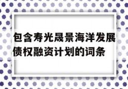 包含寿光晟景海洋发展债权融资计划的词条