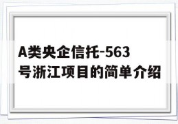 A类央企信托-563号浙江项目的简单介绍