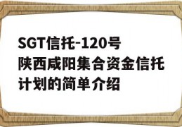 SGT信托-120号陕西咸阳集合资金信托计划的简单介绍