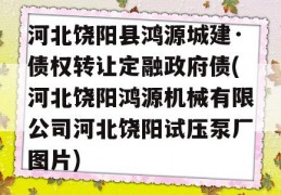 河北饶阳县鸿源城建·债权转让定融政府债(河北饶阳鸿源机械有限公司河北饶阳试压泵厂图片)