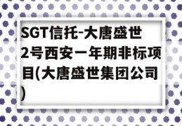 SGT信托-大唐盛世2号西安一年期非标项目(大唐盛世集团公司)