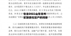 包含2022山东青州宏源债权资产的词条