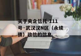 关于央企信托-111号·武汉汉N区（永续债）政信的信息