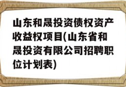 山东和晟投资债权资产收益权项目(山东省和晟投资有限公司招聘职位计划表)