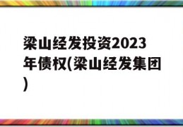 梁山经发投资2023年债权(梁山经发集团)