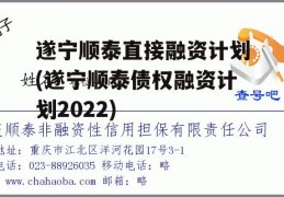 遂宁顺泰直接融资计划(遂宁顺泰债权融资计划2022)