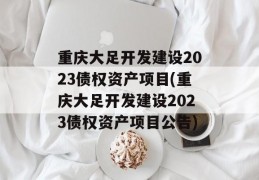 重庆大足开发建设2023债权资产项目(重庆大足开发建设2023债权资产项目公告)