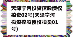 天津宁河投资控股债权拍卖02号(天津宁河投资控股债权拍卖01号)