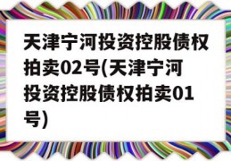 天津宁河投资控股债权拍卖02号(天津宁河投资控股债权拍卖01号)