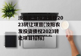 汝阳农发投资债权2023转让项目(汝阳农发投资债权2023转让项目招标)