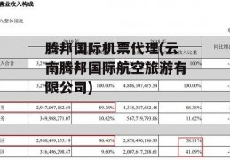 腾邦国际机票代理(云南腾邦国际航空旅游有限公司)