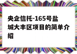 央企信托-165号盐城大丰区项目的简单介绍