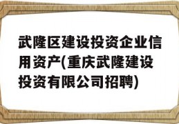 武隆区建设投资企业信用资产(重庆武隆建设投资有限公司招聘)