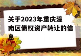 关于2023年重庆潼南区债权资产转让的信息