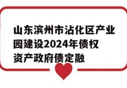 山东滨州市沾化区产业园建设2024年债权资产政府债定融