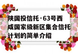 陕国投信托·63号西咸国家级新区集合信托计划的简单介绍