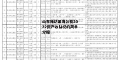 山东潍坊滨海公有2022资产收益权的简单介绍