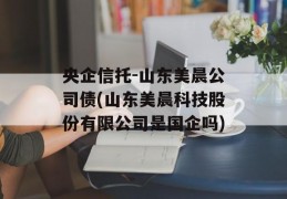 央企信托-山东美晨公司债(山东美晨科技股份有限公司是国企吗)