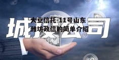 大业信托-11号山东潍坊政信的简单介绍