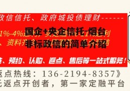 国企+央企信托-烟台非标政信的简单介绍