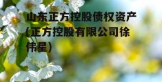 山东正方控股债权资产(正方控股有限公司徐伟星)