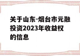 关于山东-烟台市元融投资2023年收益权的信息