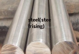 steel(steelrising)