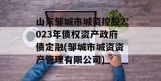 山东邹城市城资控股2023年债权资产政府债定融(邹城市城资资产管理有限公司)