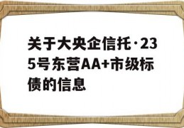 关于大央企信托·235号东营AA+市级标债的信息