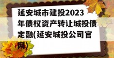 延安城市建投2023年债权资产转让城投债定融(延安城投公司官网)