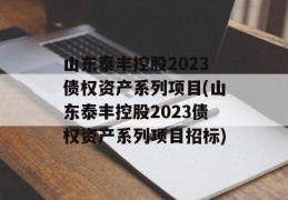 山东泰丰控股2023债权资产系列项目(山东泰丰控股2023债权资产系列项目招标)