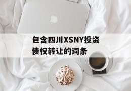 包含四川XSNY投资债权转让的词条