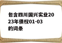 包含四川国兴实业2023年债权01-03的词条