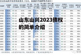 山东山兴2023债权的简单介绍