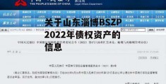 关于山东淄博BSZP2022年债权资产的信息