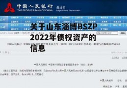 关于山东淄博BSZP2022年债权资产的信息