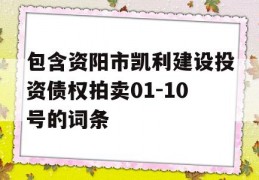 包含资阳市凯利建设投资债权拍卖01-10号的词条