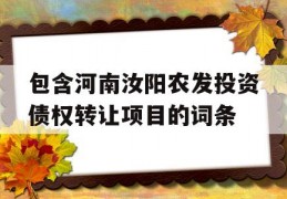 包含河南汝阳农发投资债权转让项目的词条