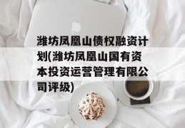 潍坊凤凰山债权融资计划(潍坊凤凰山国有资本投资运营管理有限公司评级)