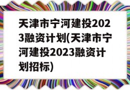 天津市宁河建投2023融资计划(天津市宁河建投2023融资计划招标)