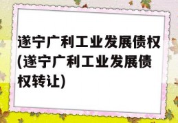 遂宁广利工业发展债权(遂宁广利工业发展债权转让)