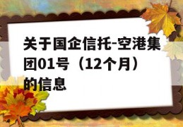 关于国企信托-空港集团01号（12个月）的信息