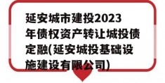 延安城市建投2023年债权资产转让城投债定融(延安城投基础设施建设有限公司)