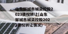 山东邹城市城资控股2023债权转让(山东邹城市城资控股2023债权转让情况)