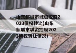 山东邹城市城资控股2023债权转让(山东邹城市城资控股2023债权转让情况)