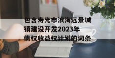 包含寿光市滨海远景城镇建设开发2023年债权收益权计划的词条